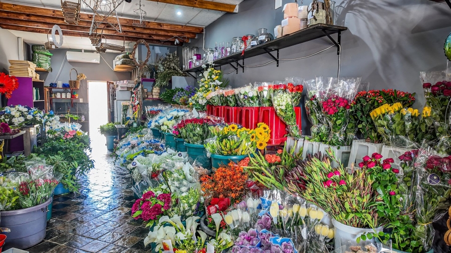 Commercial Property for Sale in Bodorp North West